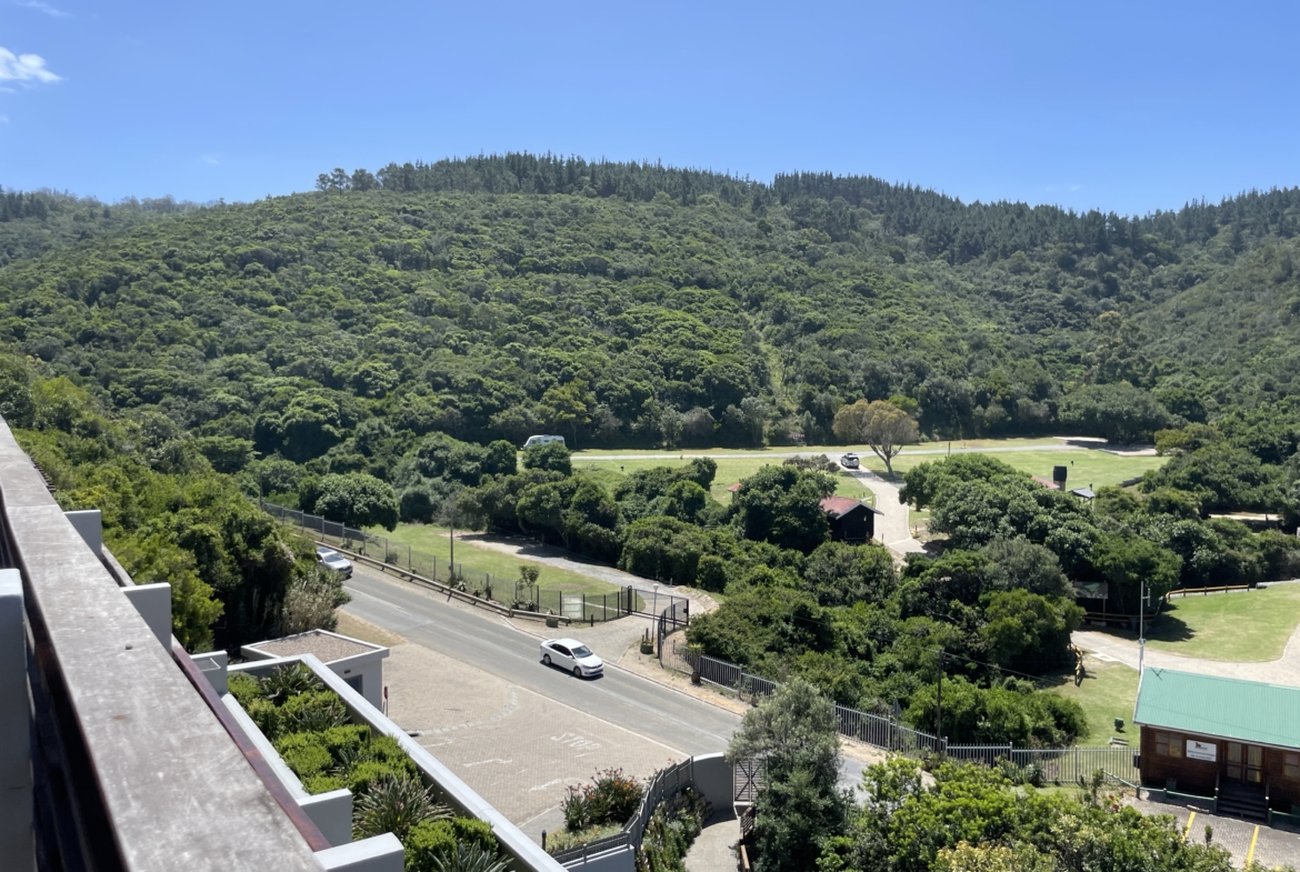 Views from ground floor