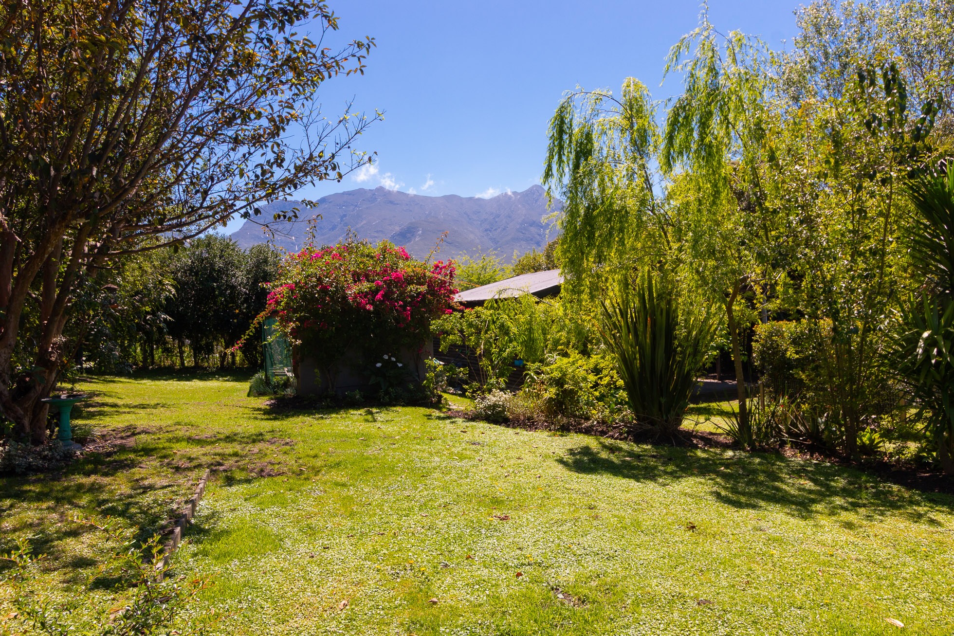 BLANCO INCOME GENERATING 4 BEDROOM HOME